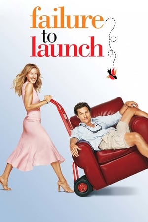 Failure to Launch 2006 Hindi Dual Audio BluRay [850MB]