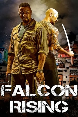 Falcon Rising (2014) Hindi Dual Audio BluRay 300MB