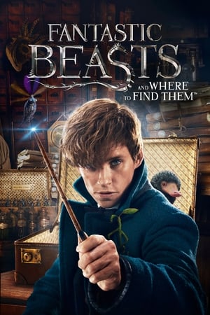 Fantastic Beasts and Where to Find Them 2016 Dual Audio (Hindi) Bluray [300MB]