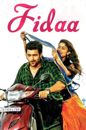 Fidaa 2017 [Hindi - Telugu] Dual Audio Uncut HDRip [1.2GB]