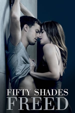 Fifty Shades Freed (2018) Hindi Dual Audio BluRay 400MB
