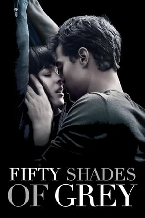 Fifty Shades of Grey 2015 Hindi Dual Audio BluRay [1.1GB]