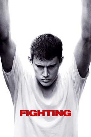 Fighting (2009) Hindi Dual Audio BluRay 450MB