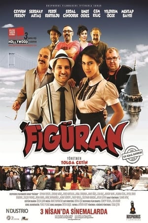 Figuran (2015) Hindi Dual Audio BluRay 330MB