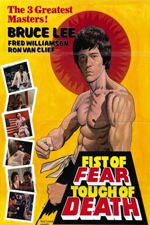 Fist of Fear Touch of Death 1980 Hindi Dual Audio DVDRip [1GB]