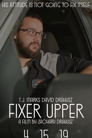 Fixer Upper (2019) Hindi Dual Audio BluRay [1.2GB]