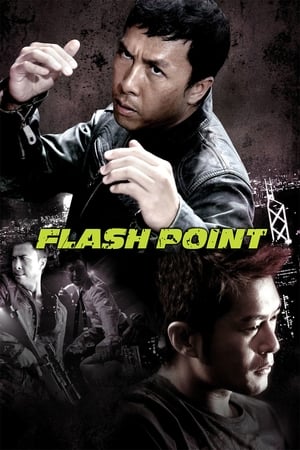 Flash Point (2007) Hindi Dual Audio BluRay 300MB