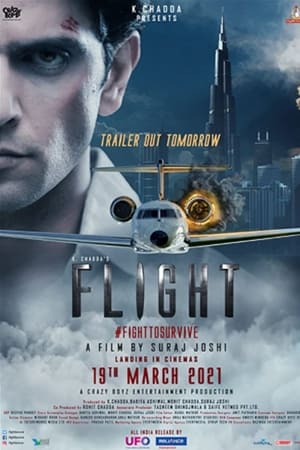 Flight 2021 Hindi Movie HDRip – [300MB]