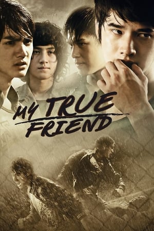 Friends Never Die (2012) Hindi dual Audio HDRip 340MB