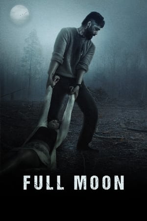 Full Moon 2023 Punjabi HDRip – 480p