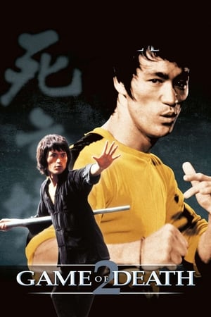 Game of Death II (1981) Dual Audio Hindi Movie BluRay - 1.1GB