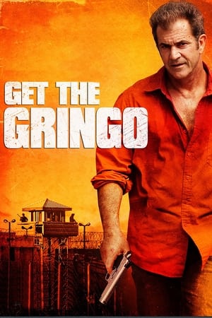 Get the Gringo (2012) Hindi Dual Audio BluRay 300MB