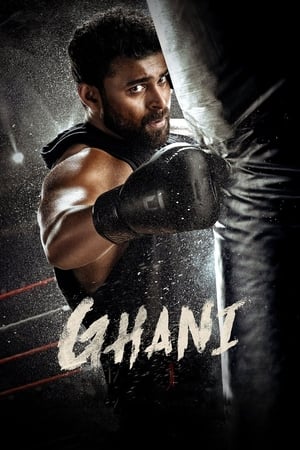 Ghani 2022 Hindi (HQ DUB) HDRip – 480p
