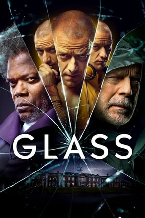 Glass (2019) Hindi Dual Audio BluRay [1GB]