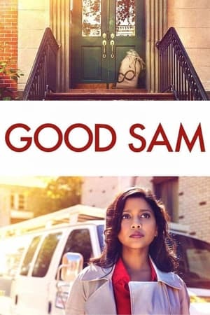 Good Sam 2019 Hindi Dual Audio Web-DL [820MB]