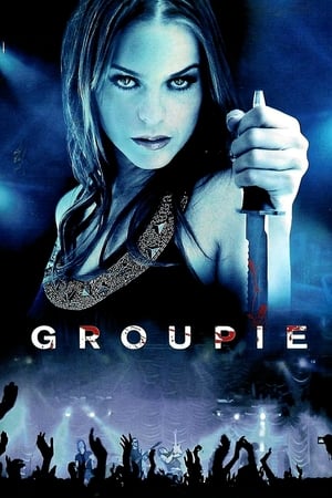 Groupie (2010) Hindi Dual Audio BluRay 300MB