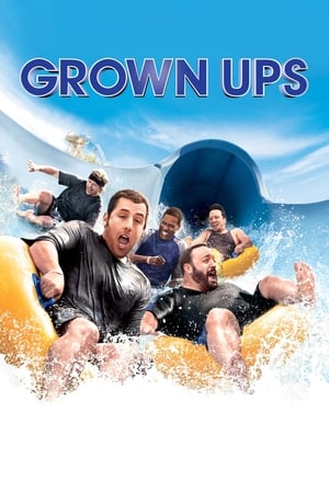 Grown Ups (2010) Hindi Dual Audio BluRay 300MB