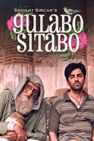 Gulabo Sitabo 2020 Hindi Movie HDRip - [360MB]