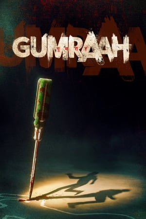 Gumraah 2023 Hindi Web-DL | 480p