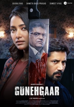 Gunehgaar (2023) Hindi HDRip | 480p