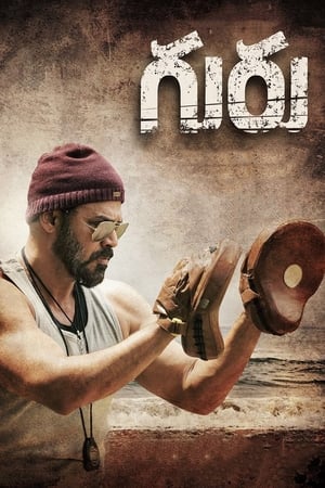 Guru (2017) Hindi Dual Audio UnCut HDRip [1.1GB]