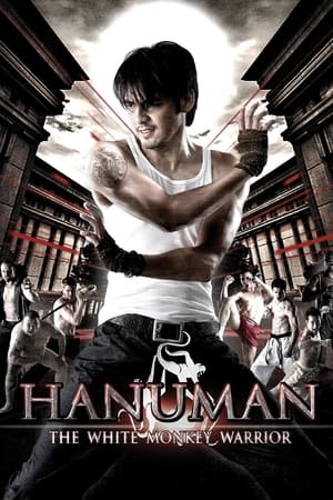 Hanuman The White Monkey Warrior 2008 Hindi Dual Audio BluRay 300MB