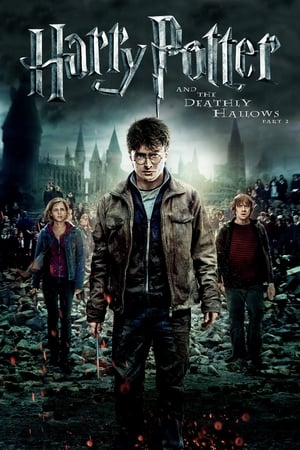 Harry Potter and the Deathly Hallows 2011 – Part 2 Hindi Dubbed Bluray [1.0GB] Download