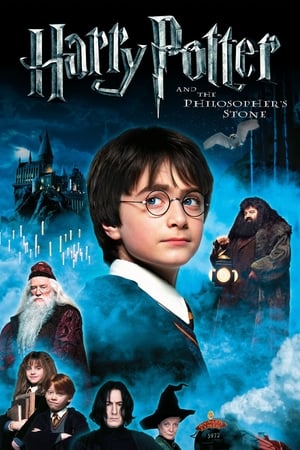 Harry Potter and the Sorcerer's Stone 2001 Hindi Dual Audio WEB-DL