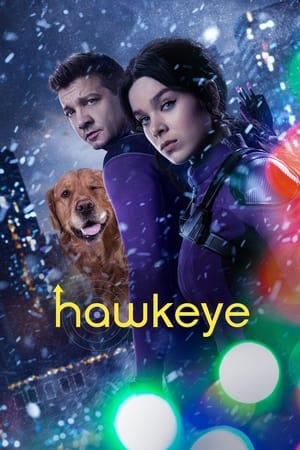 HawkEye (2021) Season 1 Dual Audio Hindi HDRip – – 480p [1- 6 Episodes]