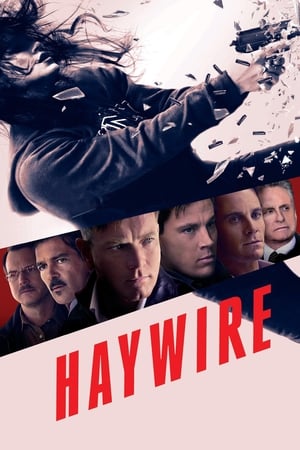 Haywire (2011) Hindi Dual Audio BluRay 300MB