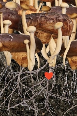 Heaven (2022) Hindi Movie HDRip – 480p