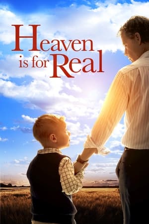 Heaven Is for Real (2014) Hindi Dual Audio BluRay 300MB