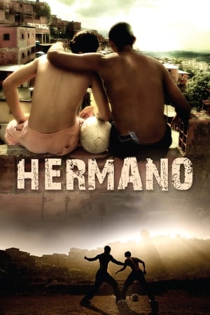 Hermano 2010 Hindi Dual Audio BluRay 300MB