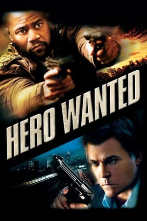 Hero Wanted 2008 Hindi Dual Audio BluRay 330MB
