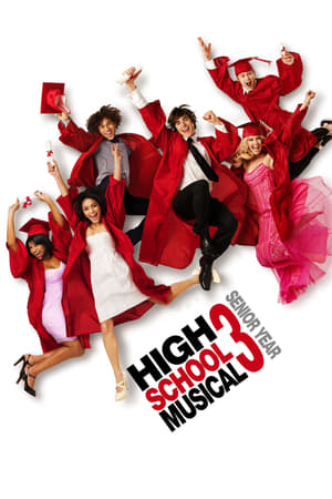 High School Musical 3 (2008) Hindi Dual Audio BluRay [950MB]