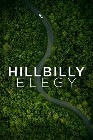 Hillbilly Elegy 2020 Hindi Dual Audio WebRip [980MB]