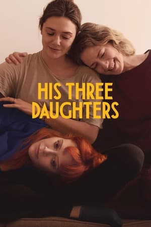 His Three Daughters 2024 Hindi (ORG 5.1) Dual Audio HDRip – 720p – 480p
