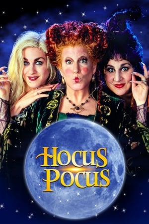 Hocus Pocus 1993 Hindi Dual Audio BluRay 320MB