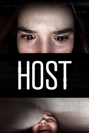 Host (2020) Hindi Dual Audio WebRip [940MB]