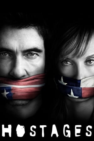 Hostages (2019) Hindi Web Series HDRip | 480p [Complete]