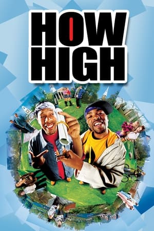 How High (2001) Hindi Dual Audio WebRip 300MB