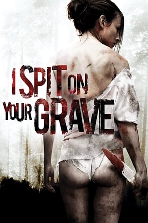 I Spit on Your Grave 2010 Hindi Dual Audio BluRay 330MB