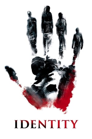 Identity (2003) Hindi Dual Audio BluRay 300MB