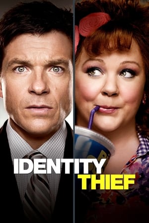 Identity Thief (2013) Hindi Dual Audio BluRay [1GB]