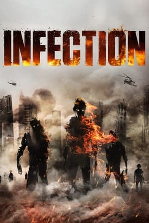 Infection (2019) Hindi Dual Audio BluRay [1GB]
