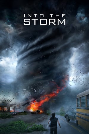 Into the Storm (2014) Hindi Dual Audio BluRay 300MB