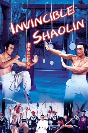 Invincible Shaolin 1978 Hindi Dual Audio BluRay [1.3GB]