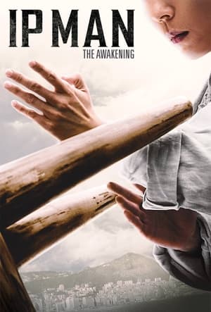 Ip Man: The Awakening (2022) Hindi Dual Audio HDRip – 480p