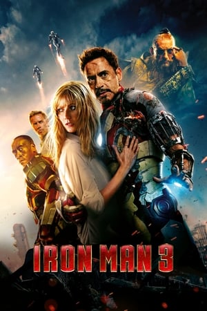 Iron Man 3 (2013) Hindi Dual Audio BluRay 300MB