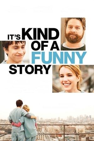 Its Kind of a Funny Story 2010 Hindi Dual Audio BluRay 330MB